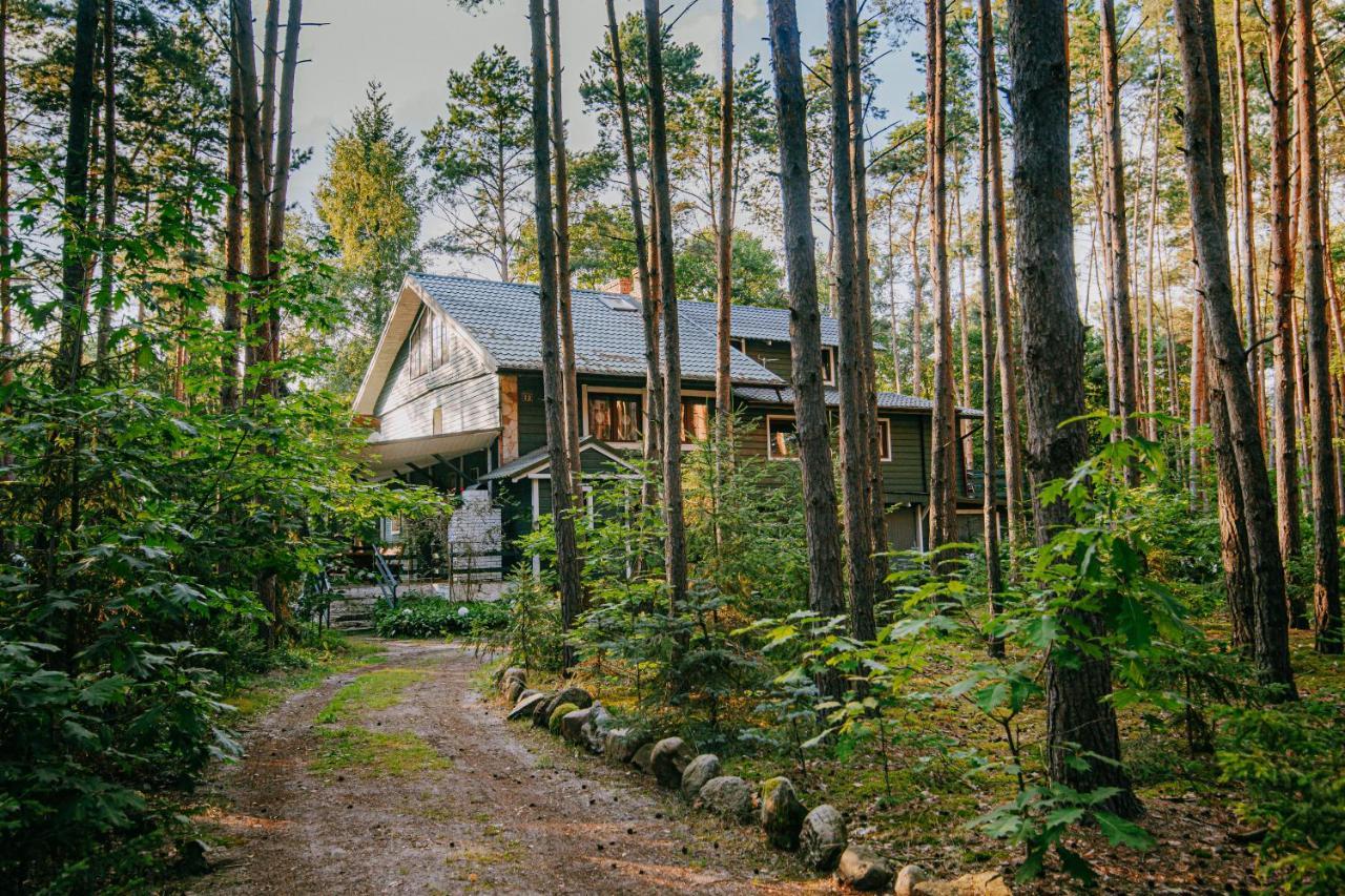 Bed and Breakfast Zacisze Leśne nad Pilicą Spała Zewnętrze zdjęcie