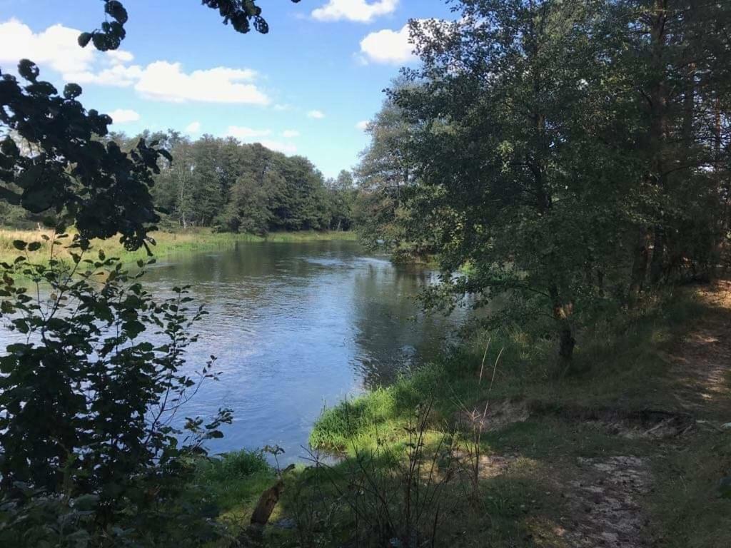 Bed and Breakfast Zacisze Leśne nad Pilicą Spała Zewnętrze zdjęcie